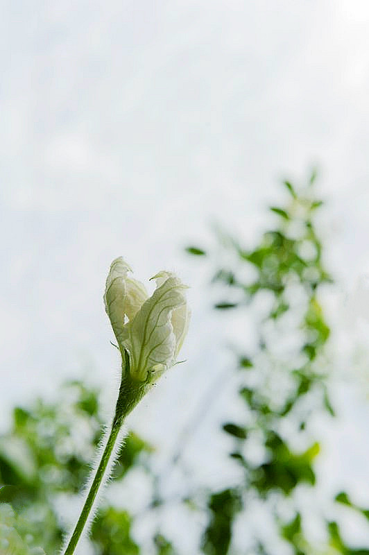 _DSC9966__.jpg