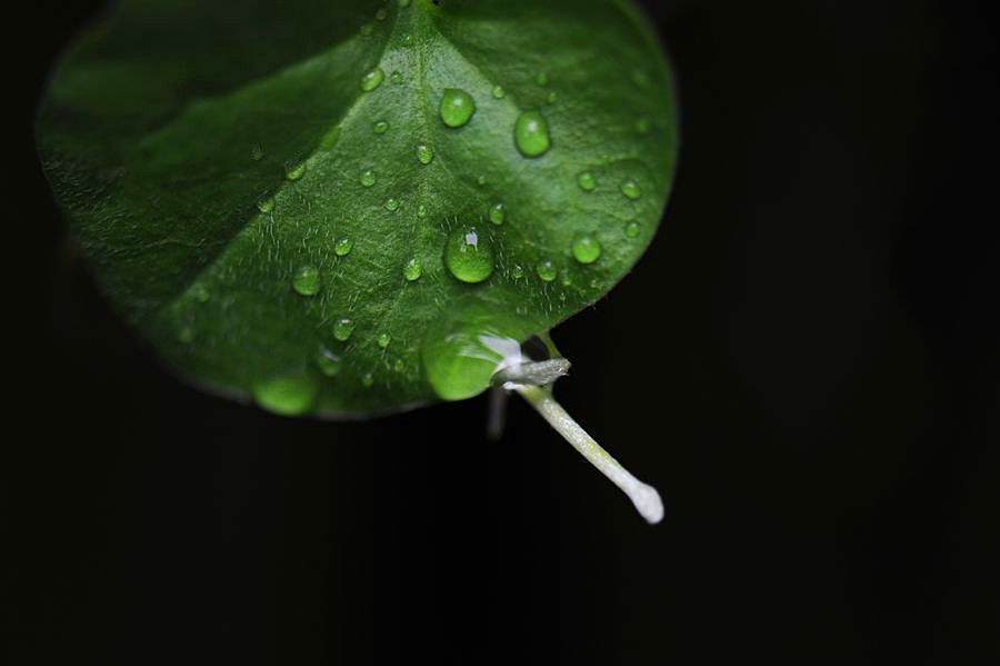 DSC_4498__.jpg
