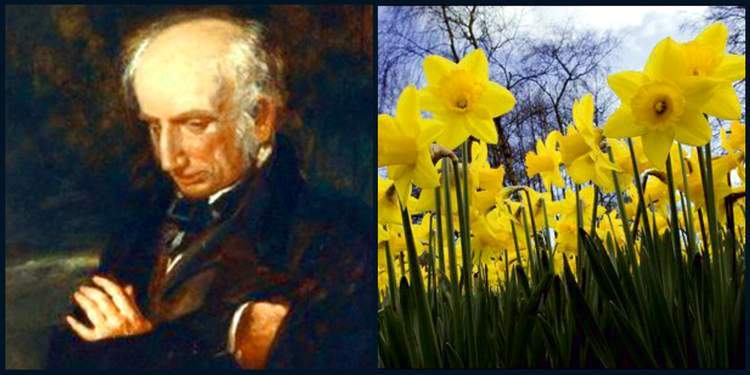 william-wordsworth-the-daffodils 002.jpg