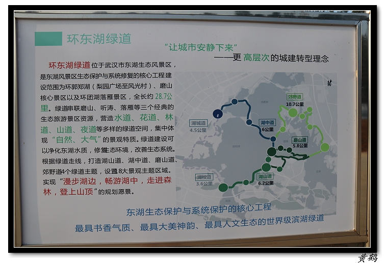 ----ĵ11.jpg