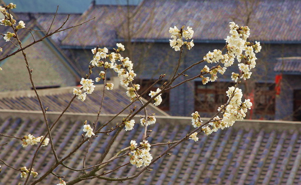img_6535.jpg