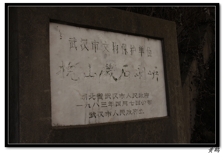 ɽͷ014.jpg