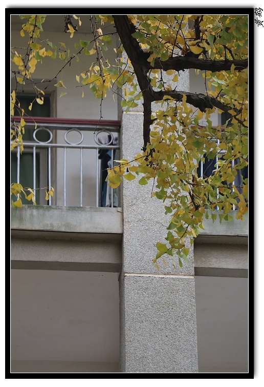 ɽͷ135.jpg