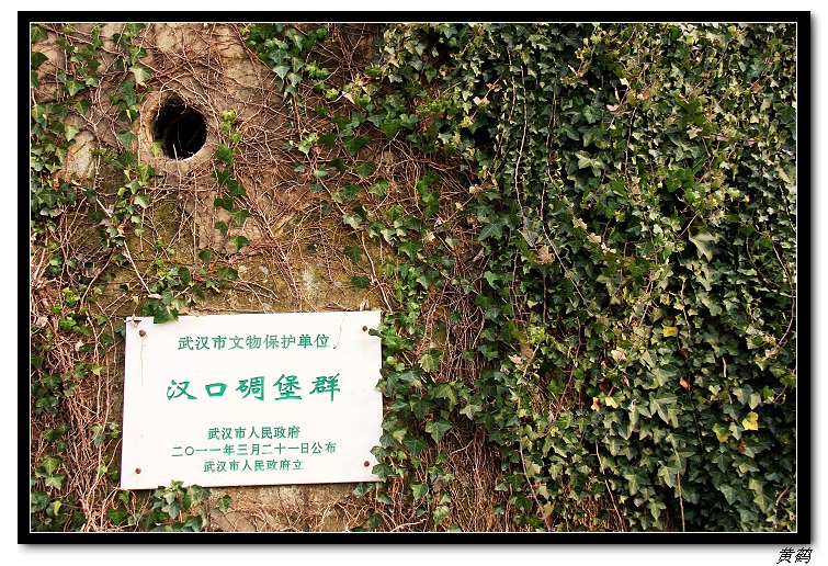 ڵﱤȺ03.jpg