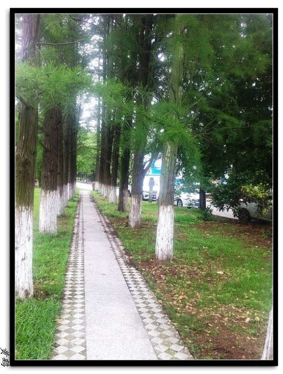 人ѧ091.jpg