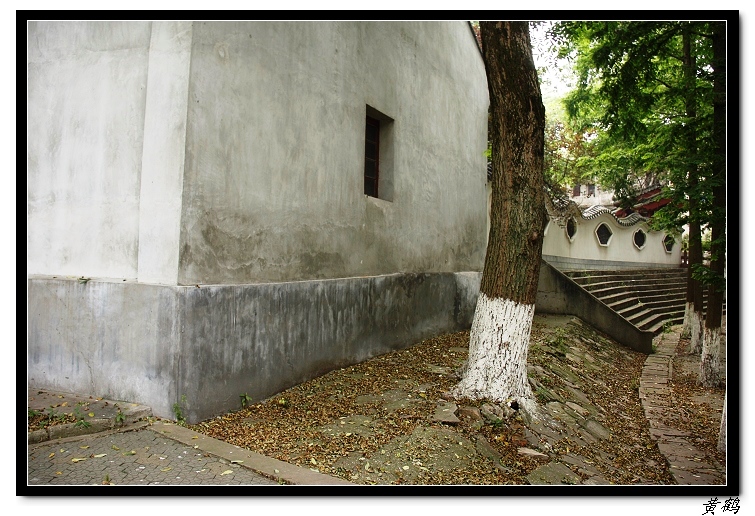 ԴȪ--һ15.jpg