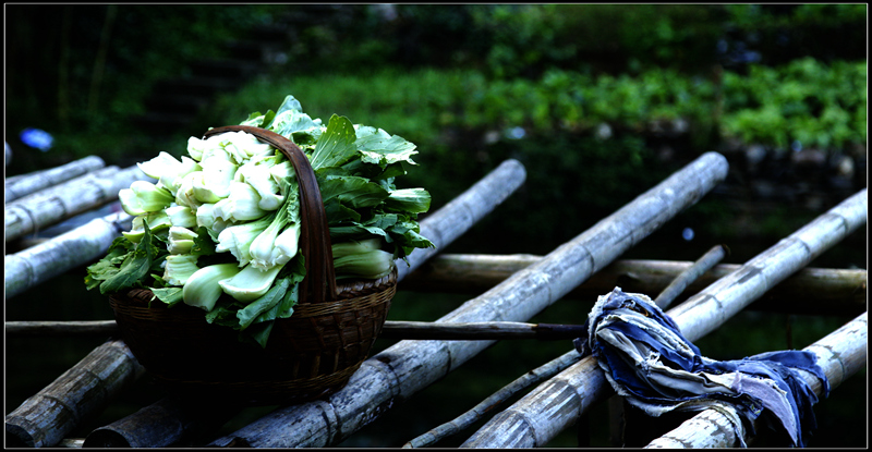 _mg_0166__.jpg