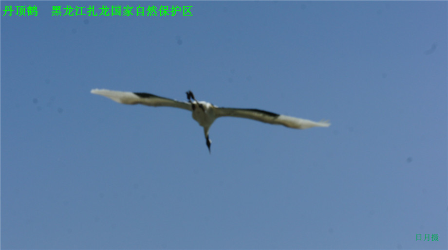 dsc01611_.jpg
