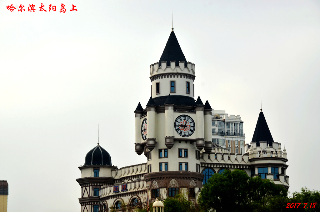 dsc_8890.jpg