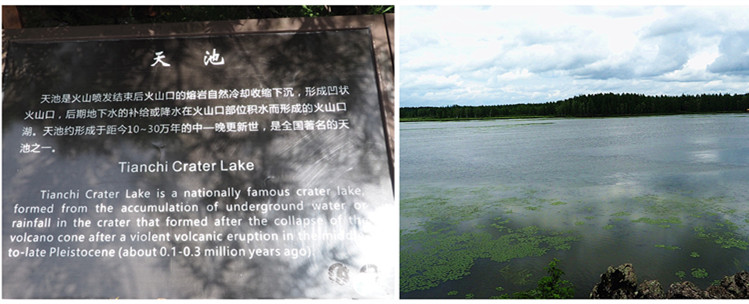 p7101504__.jpg