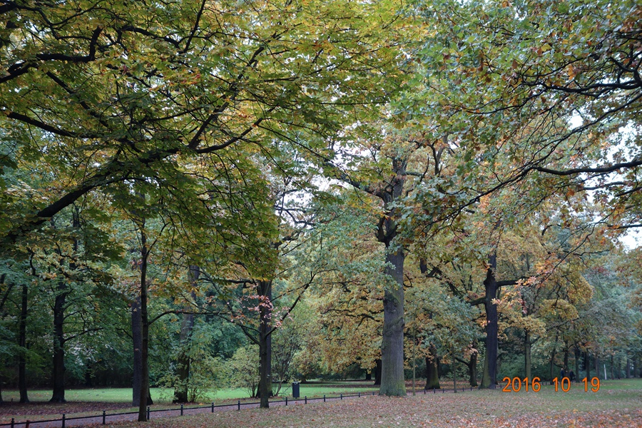 DSC03134_.jpg