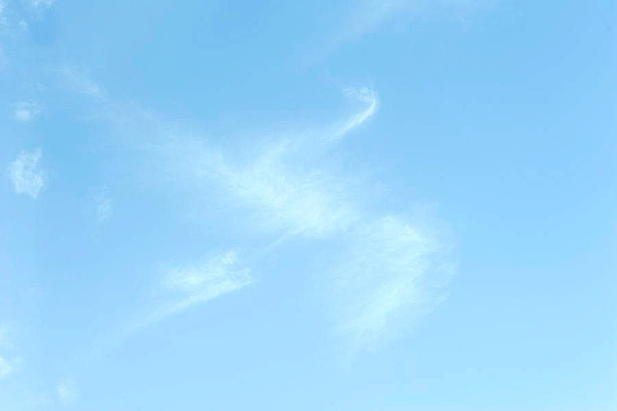 _DSC5672__.jpg