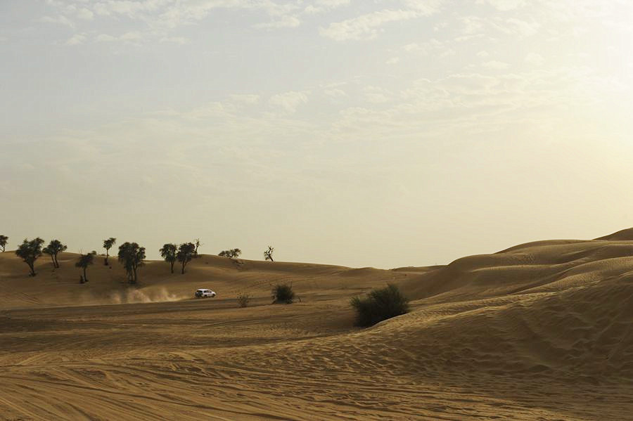 _DSC5255__.jpg