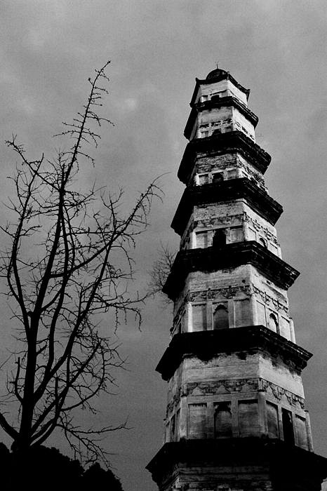 DSC_6669__.jpg
