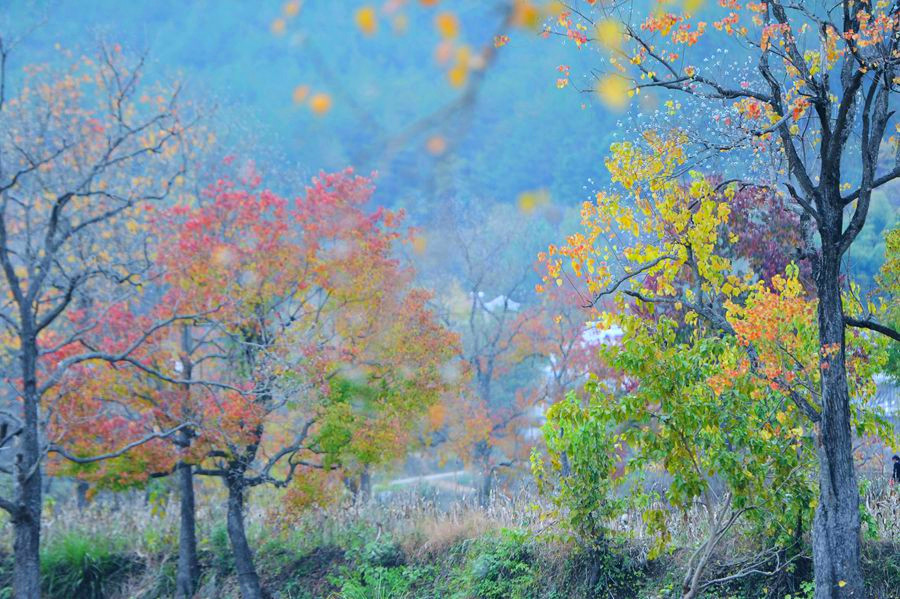 DSC_0116___.jpg
