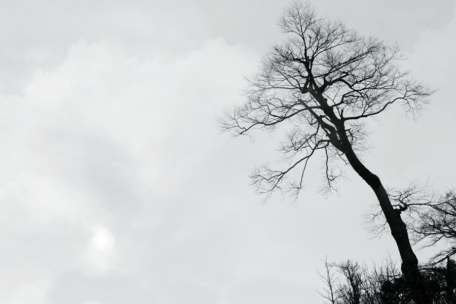 _DSC1692__.jpg