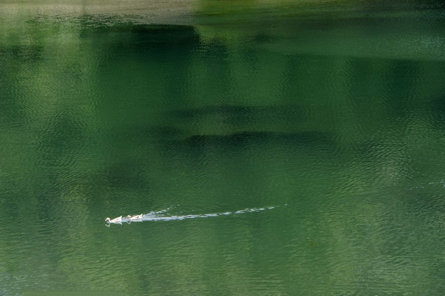 _DSC0160___.jpg
