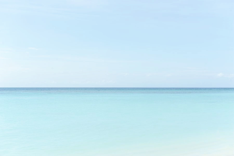 _DSC2926__.jpg