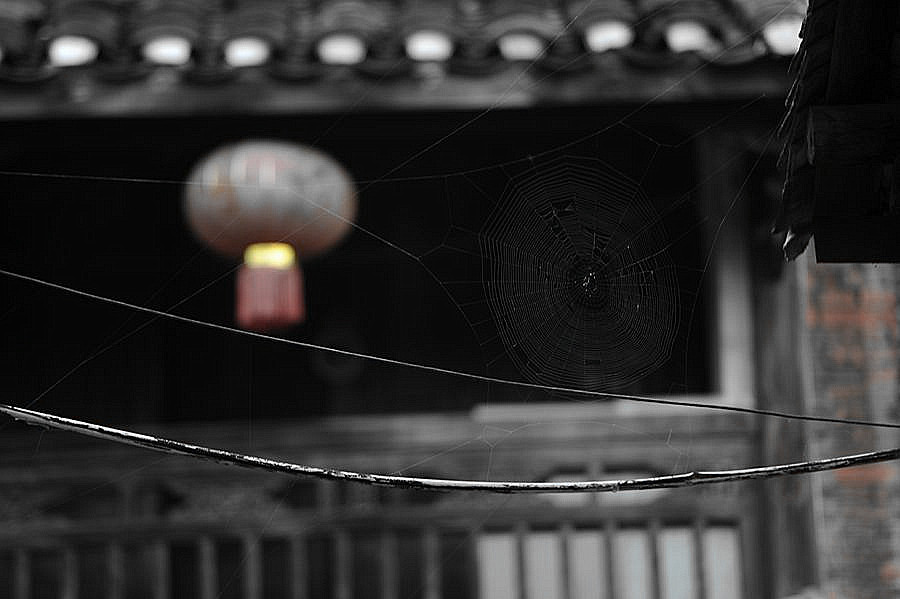 DSC_1389__.jpg