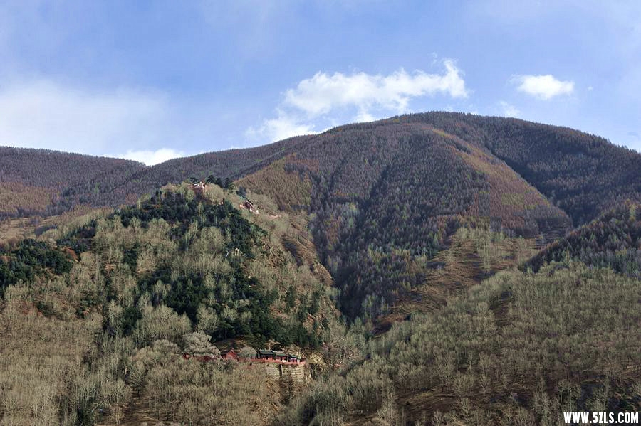 _DSC2157__.jpg
