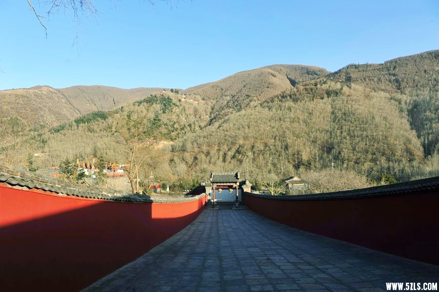 _DSC1763__.jpg
