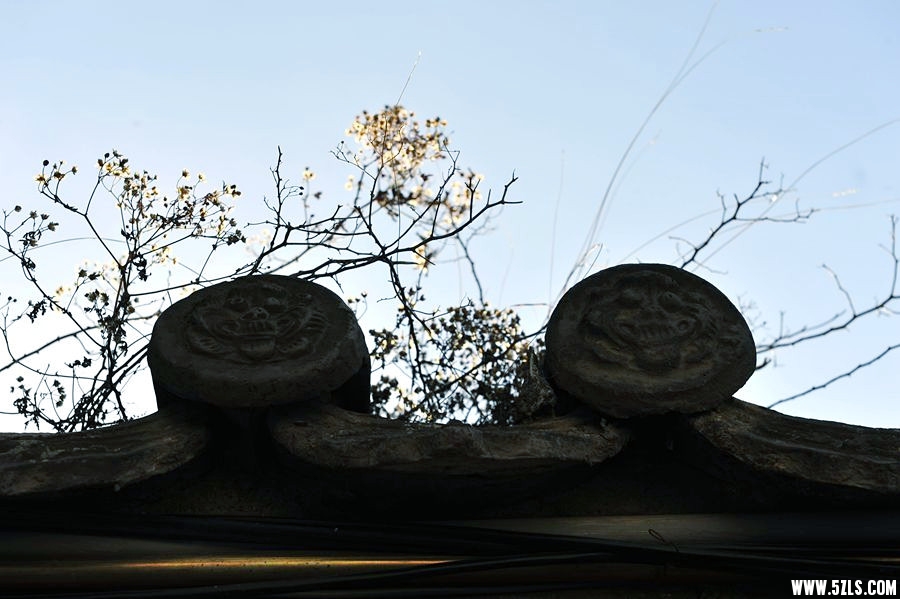 _DSC1901__.jpg