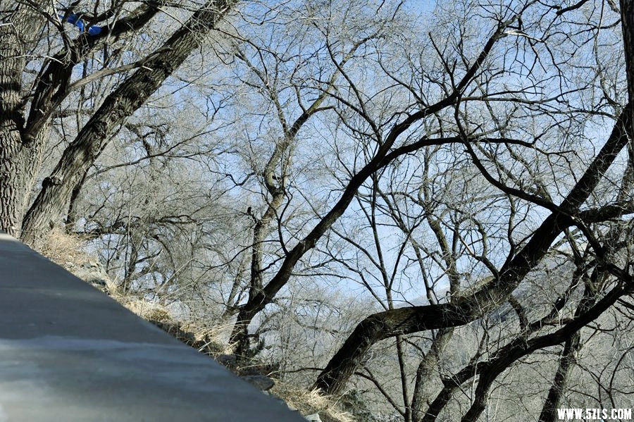 _DSC1960__.jpg