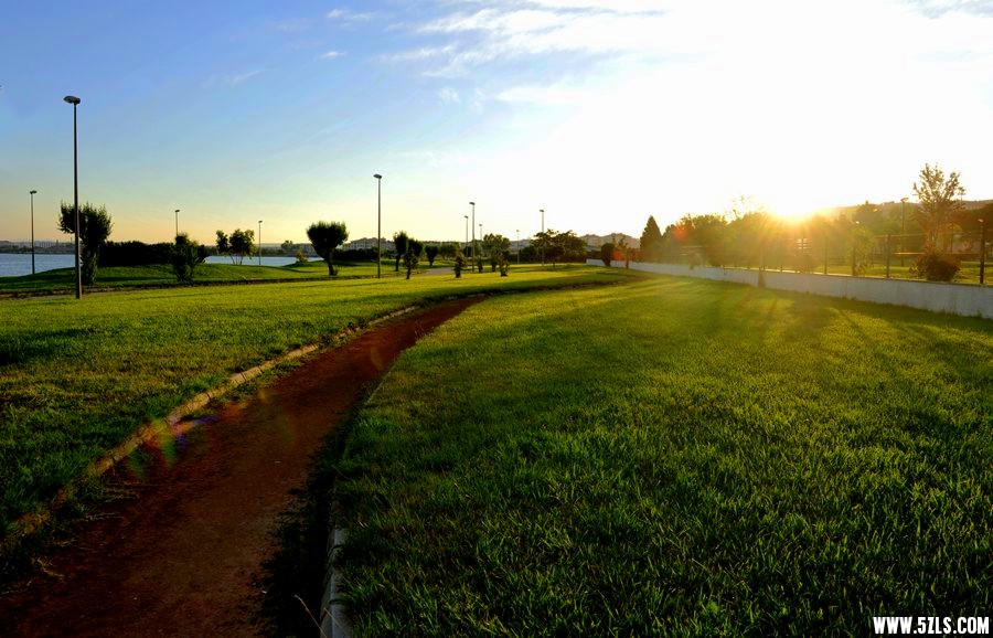 _DSC2127__.jpg