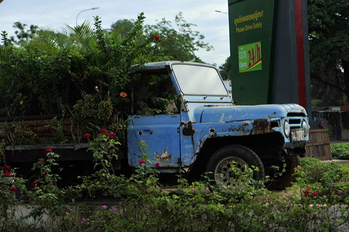 _DSC1628___.jpg