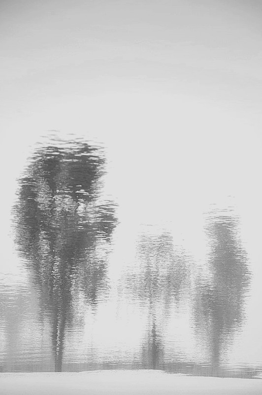 DSC_2908__.jpg
