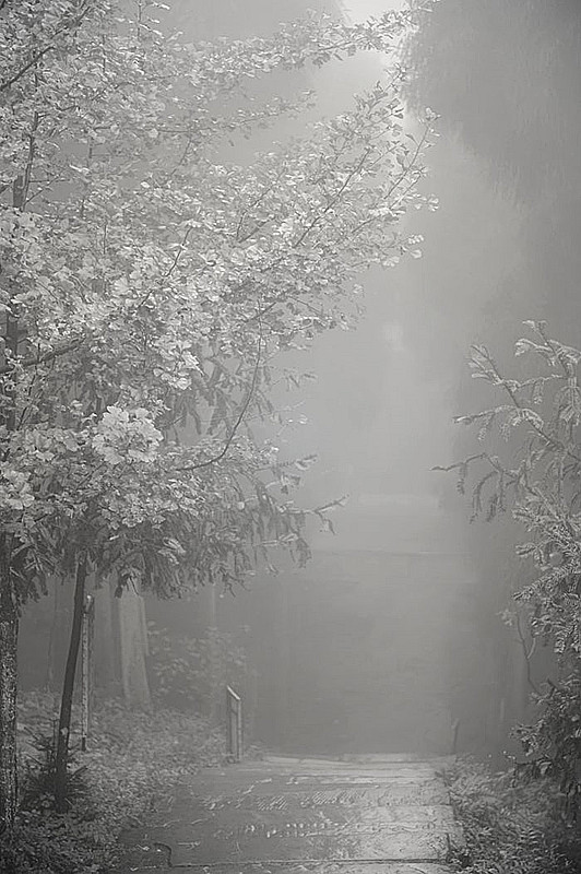 L 543__.jpg