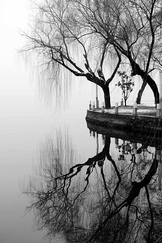 _DSC0489__.jpg