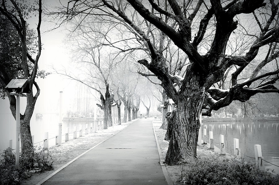 _DSC0493__.jpg