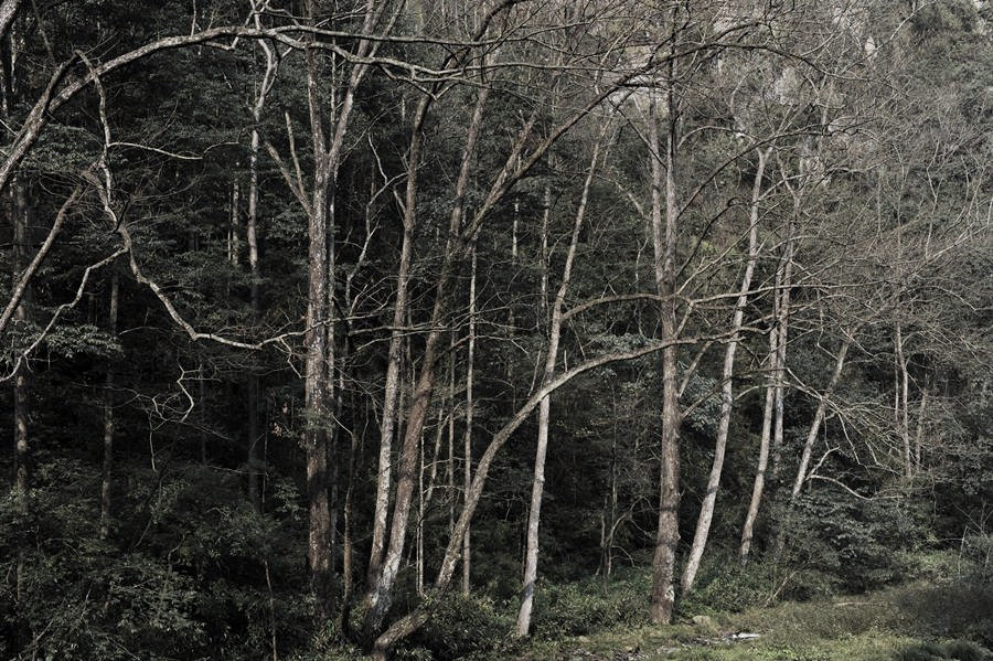 _DSC1280__.jpg