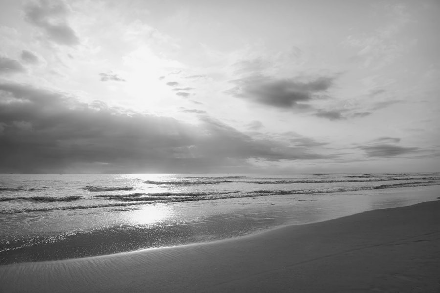 _DSC1833__.jpg