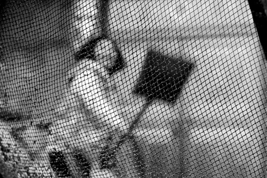 DSC_0276__.jpg