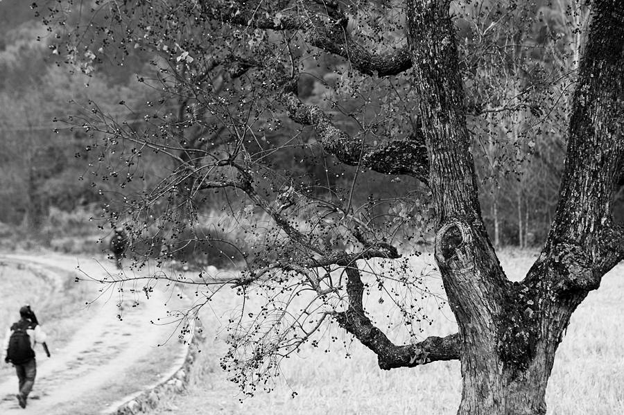 DSC_0389___.jpg