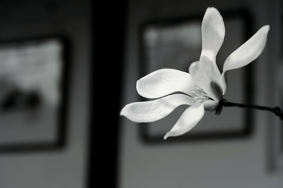 _DSC3463__.jpg