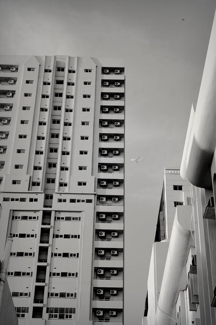 _DSC3656__.jpg