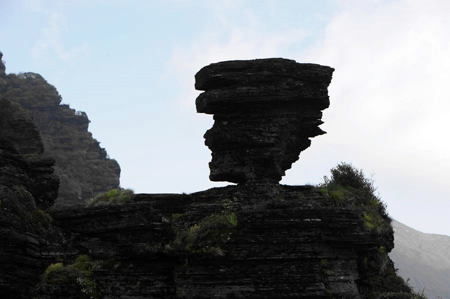 _DSC5597__.jpg