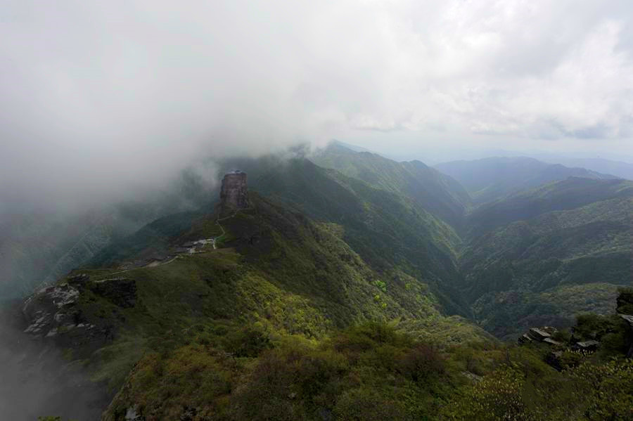 _DSC5917__.jpg