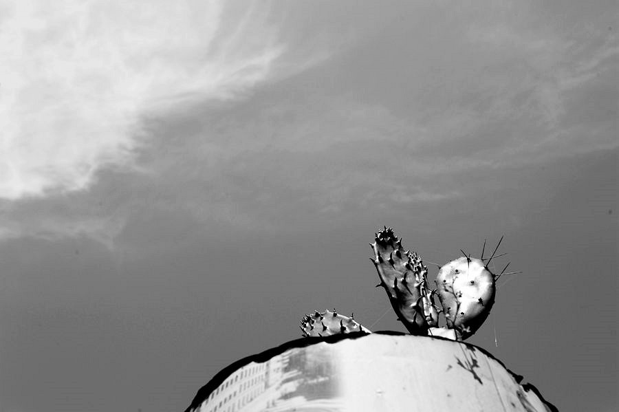 _DSC6309__.jpg