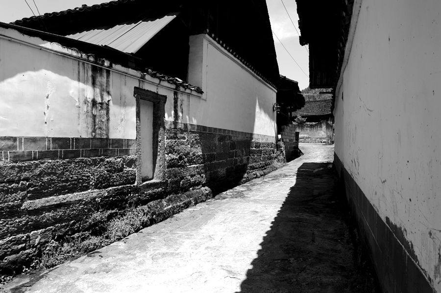 _DSC6452__.jpg