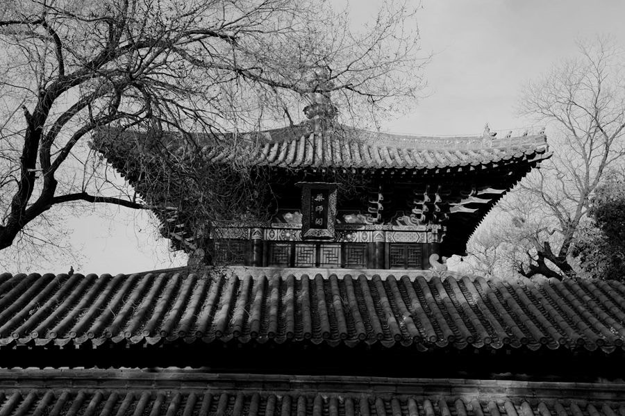 _DSC7229__.jpg