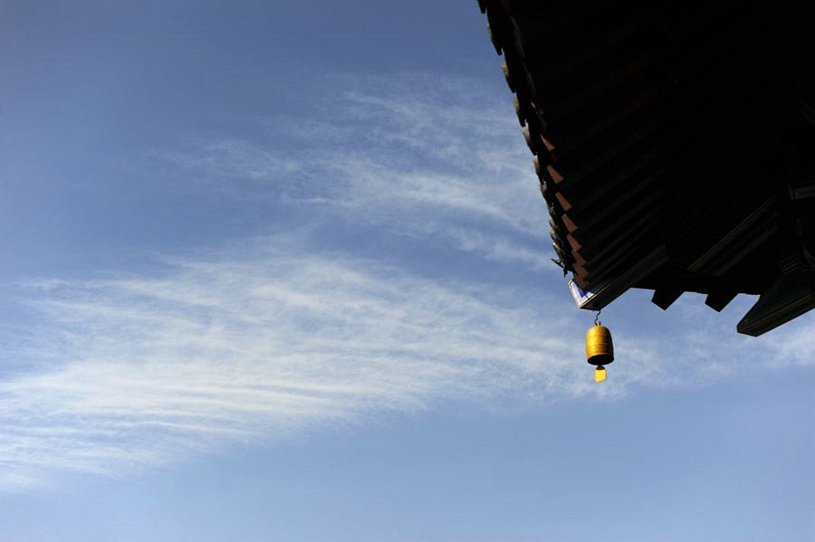 _DSC8129__.jpg