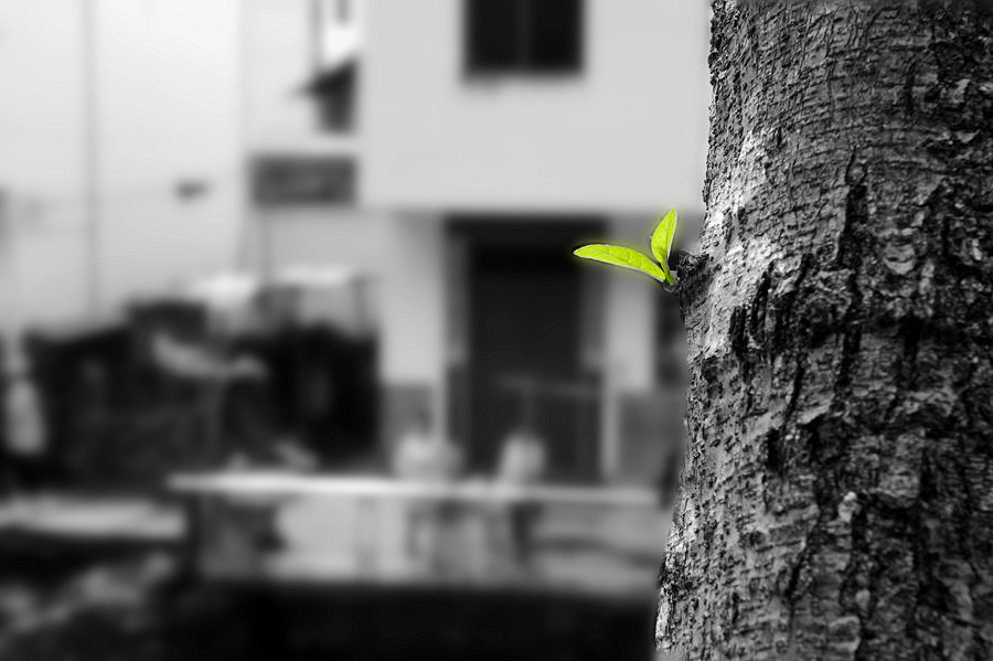 _DSC8762__.jpg