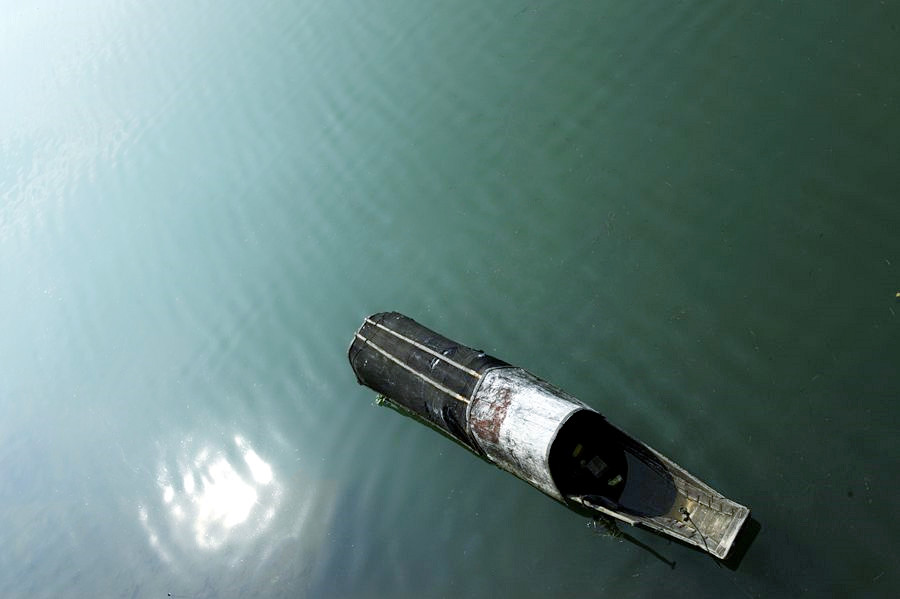 _DSC8955__.jpg