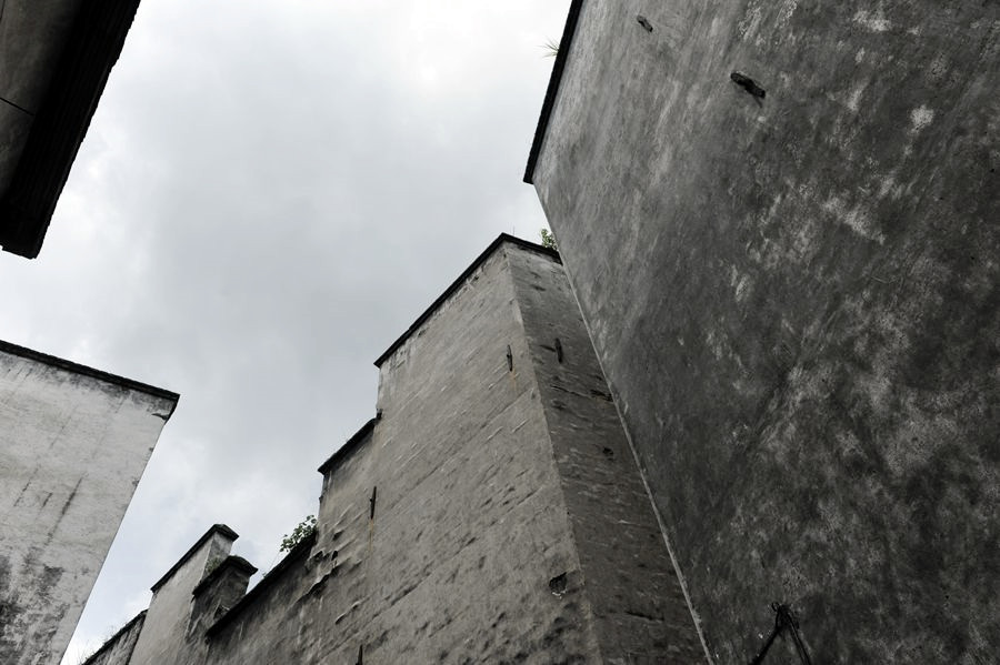 _DSC9498__.jpg
