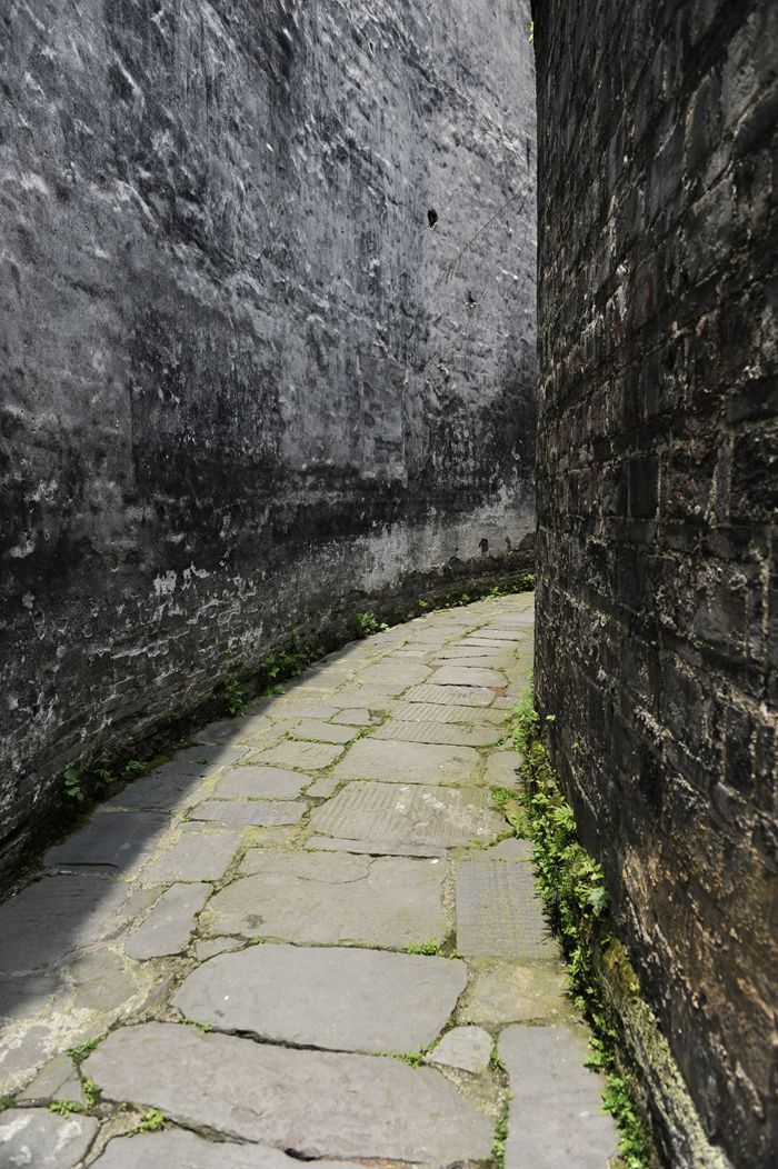 _DSC9820_.jpg