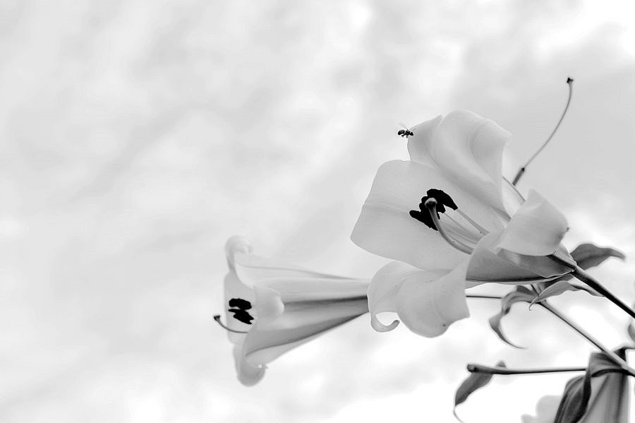 _DSC9916__.jpg